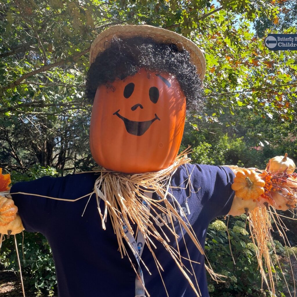 Farmers’ Almanac says North Alabama’s fall and winter will be chilly Farmers’ Almanac says North Alabama’s fall and winter will be chilly