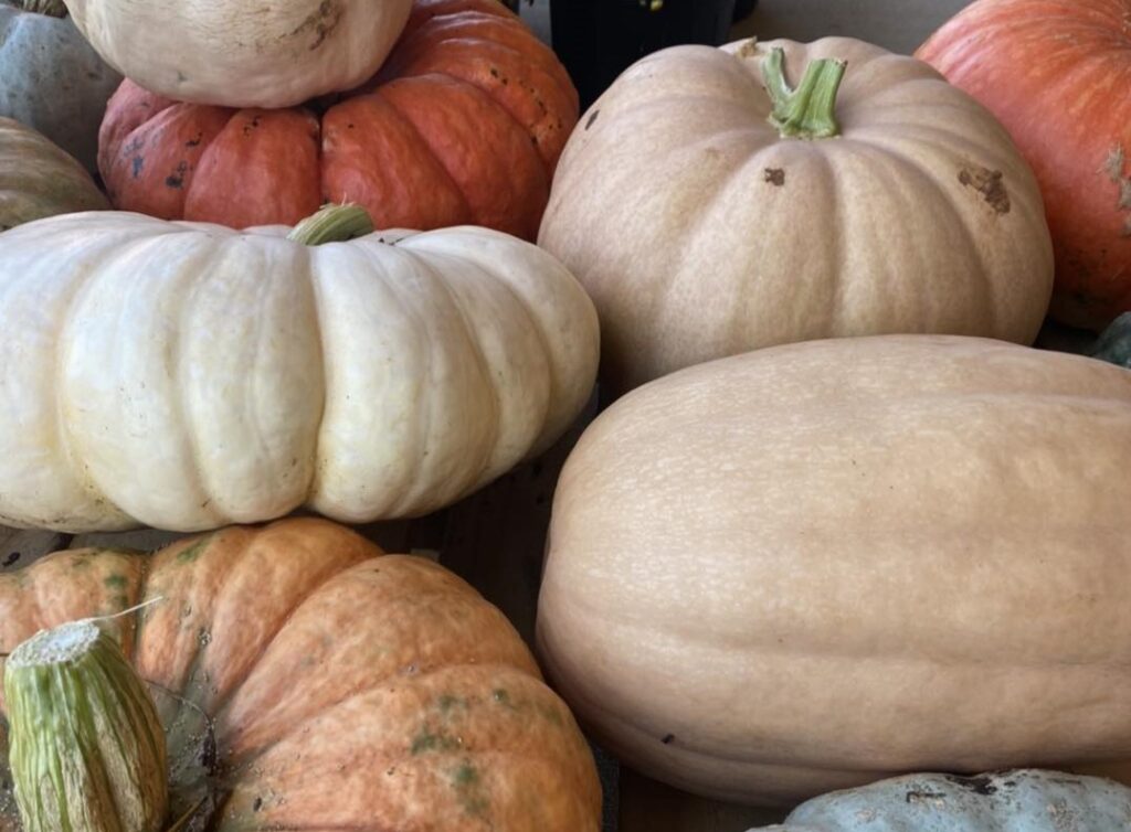 6 apple + pumpkin U-pick farms around Huntsville to enjoy this fall 6 apple + pumpkin U-pick farms around Huntsville to enjoy this fall