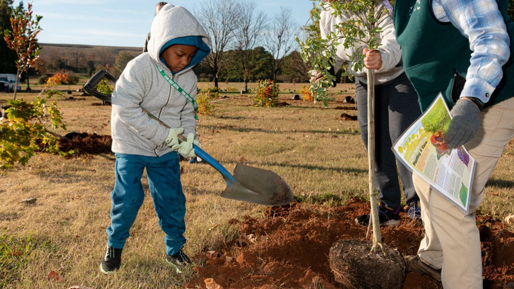 Tree Planting Day in Huntsville – Here’s what to know Tree Planting Day in Huntsville – Here’s what to know