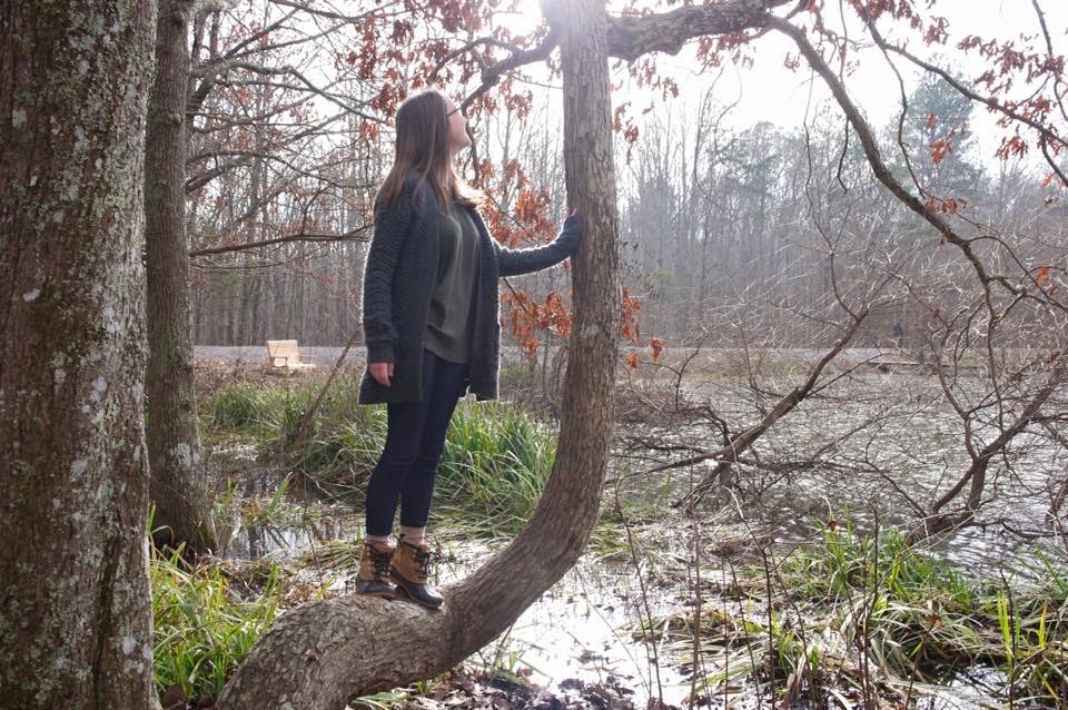 7 gorgeous hiking spots in South Huntsville