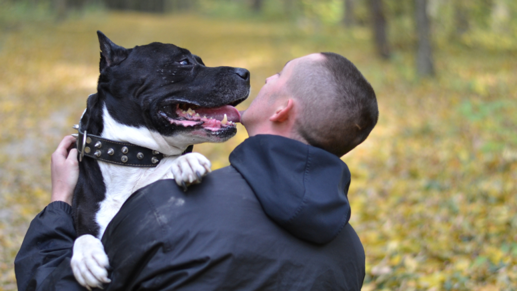Huntsville Animal Services to waive adoption fees – cites ‘urgent need’ Huntsville Animal Services to waive adoption fees – cites ‘urgent need’