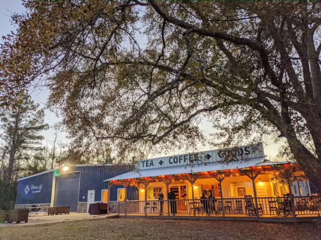 9 unique Airbnbs in the Huntsville area—treehouse, tea factory + more
