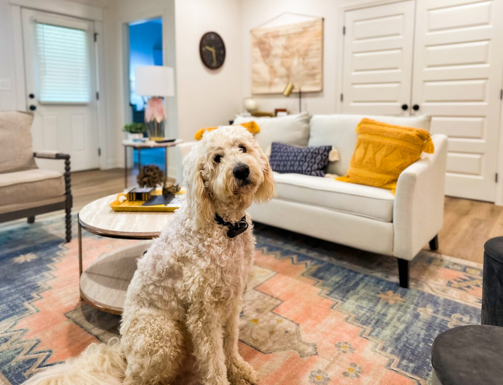 4 reasons my pup and I love these pet-friendly apartments near Huntsville