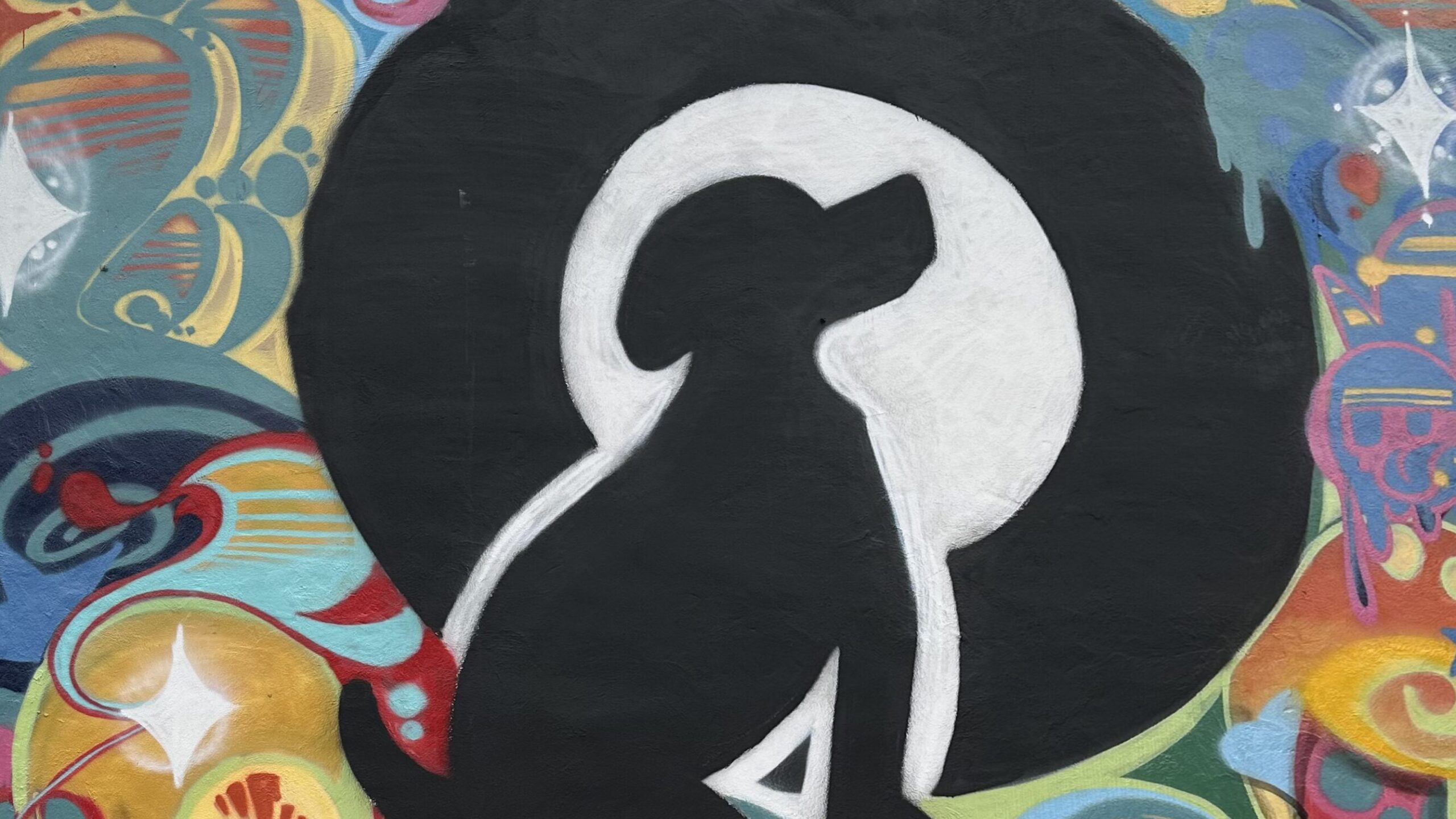 Black Dog Grounds + Sounds’ unfortunate closing — what to know