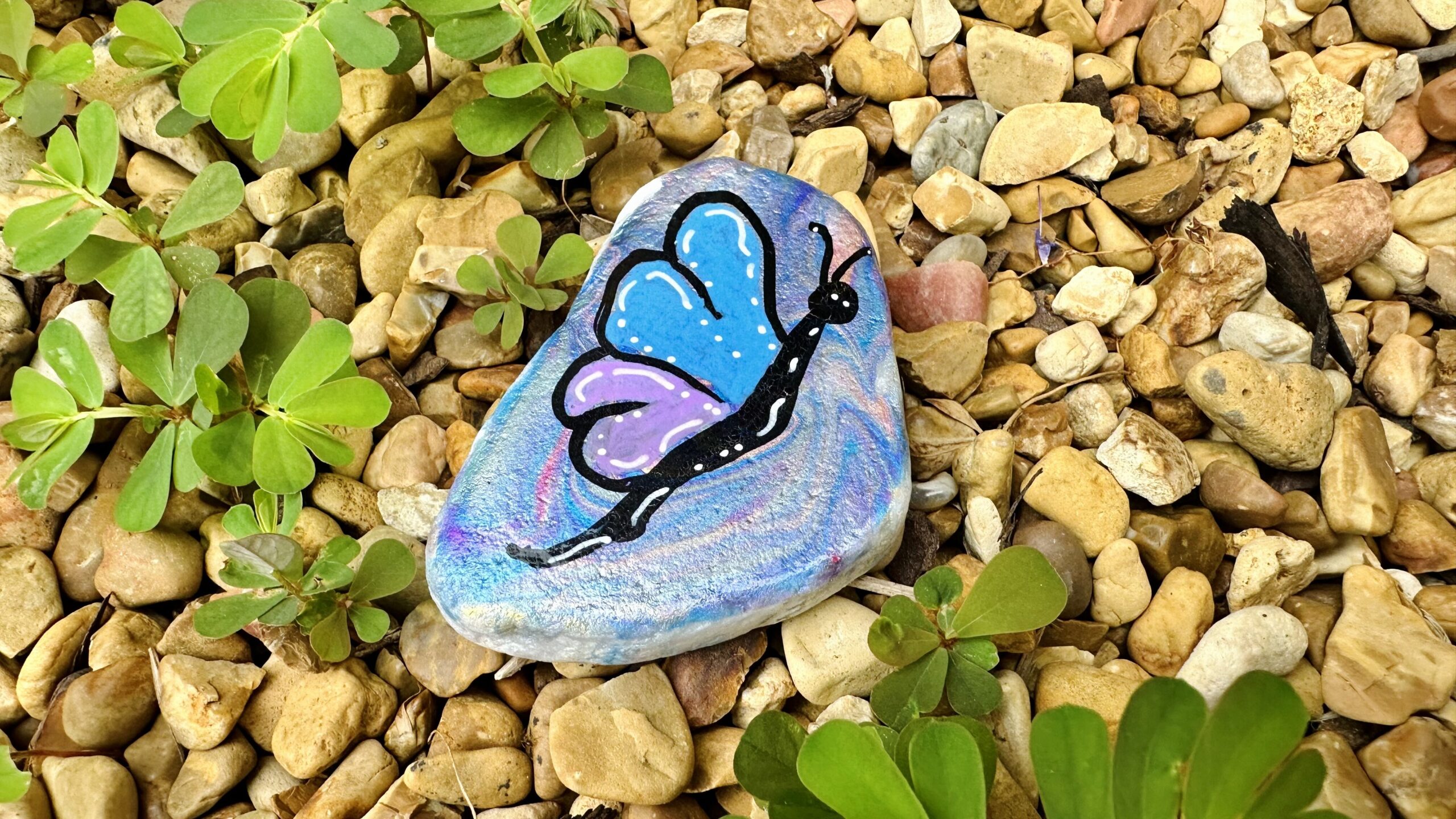 Drop A Rock Day — how to celebrate in Huntsville Drop A Rock Day — how to celebrate in Huntsville