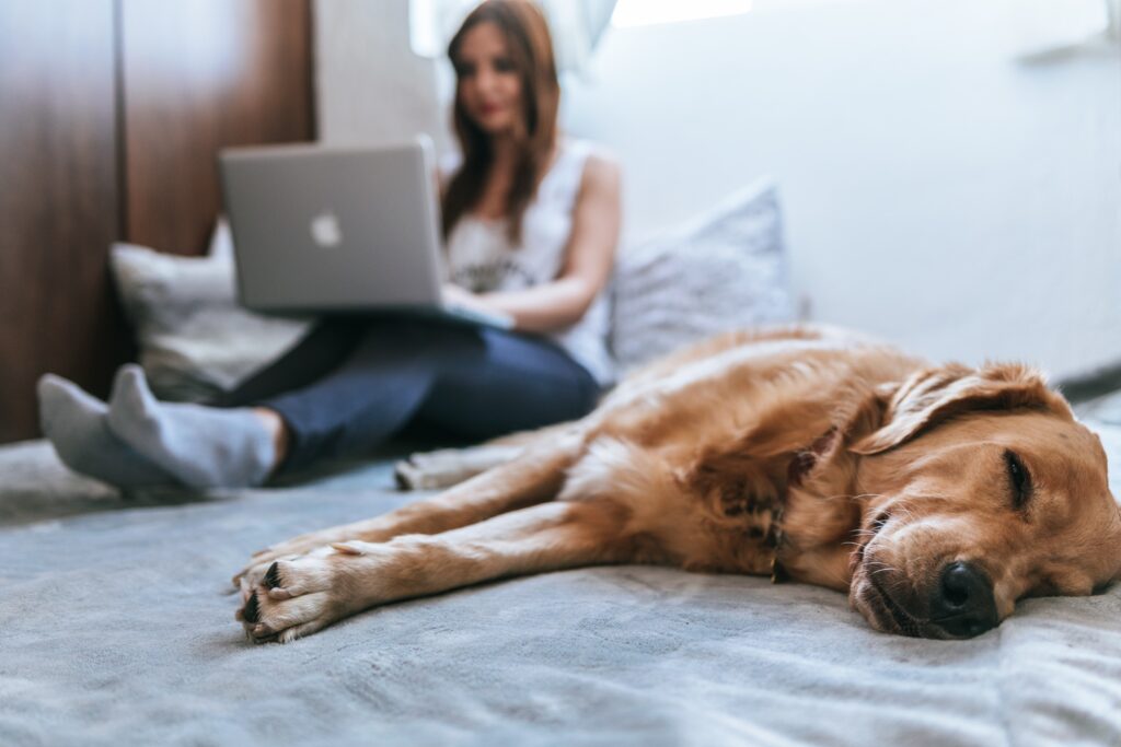 How to embrace your inner ‘lazy girl’ in Huntsville How to embrace your inner ‘lazy girl’ in Huntsville