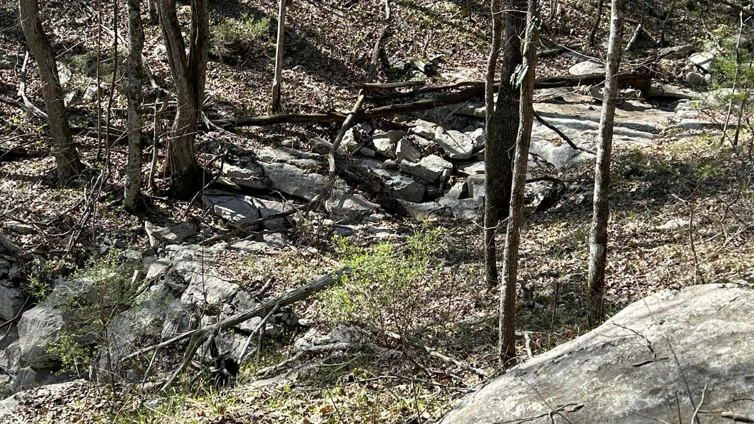 7 environmental conservation volunteer opportunities in the Huntsville area