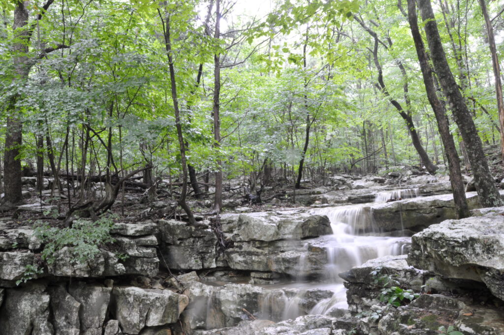 5 Scenic Huntsville hiking trails you need to explore