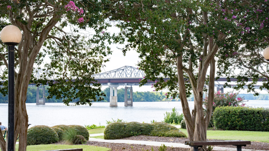 Big changes coming to a new + improved Ditto Landing
