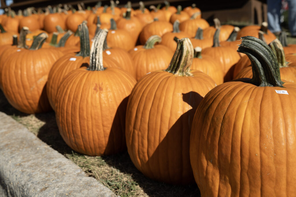 5 new uses for your Halloween pumpkins