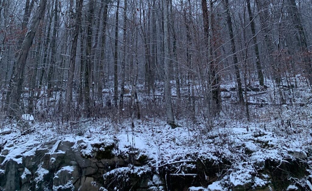 Snow + freezing temps may be coming to Huntsville this week
