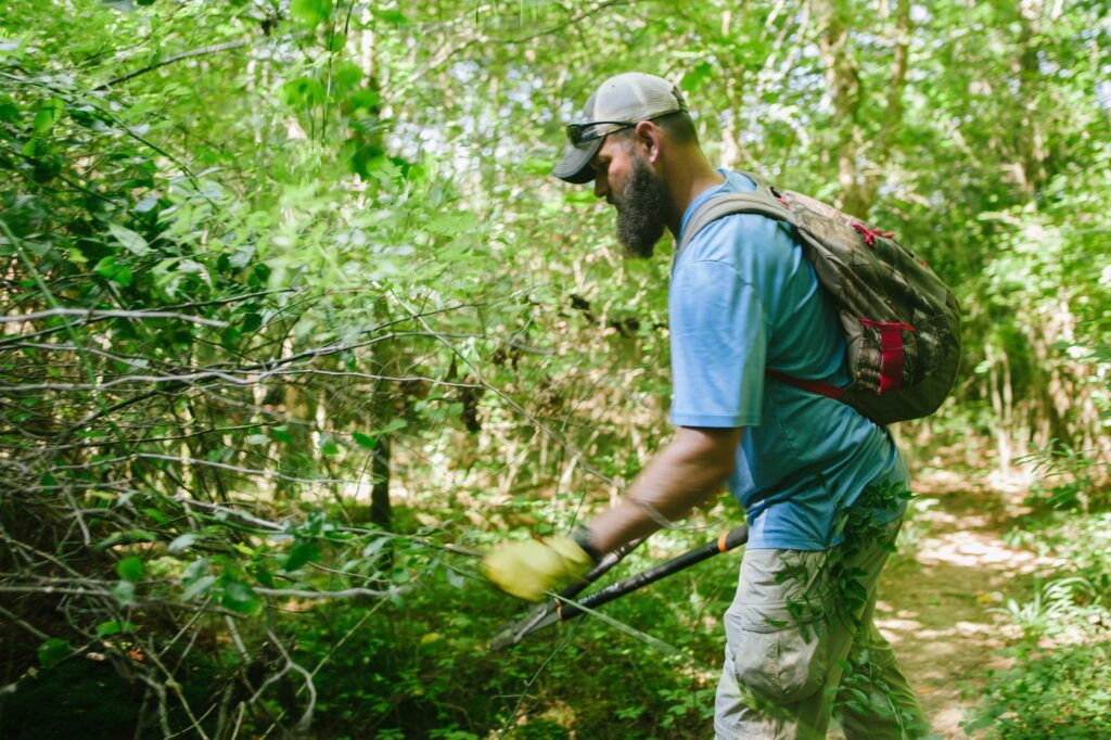 Here are 6 amazing hiking opportunities in North Alabama this summer