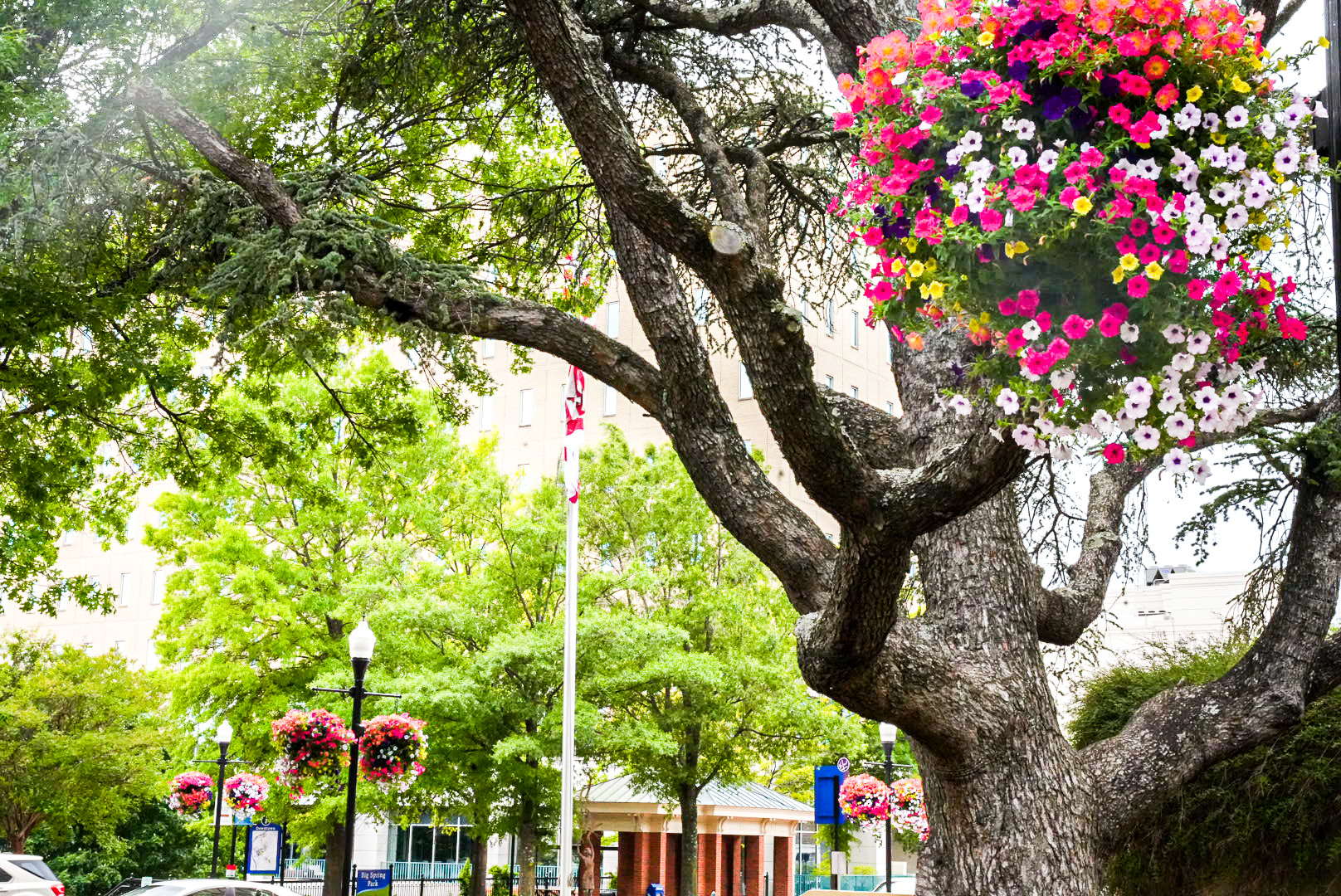 8 awesome spring festivals you need on your calendar