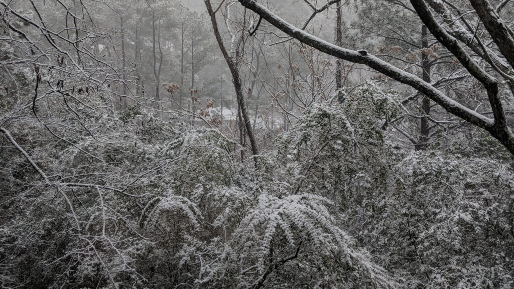Freezing temperatures Monday in Huntsville—what you need to know