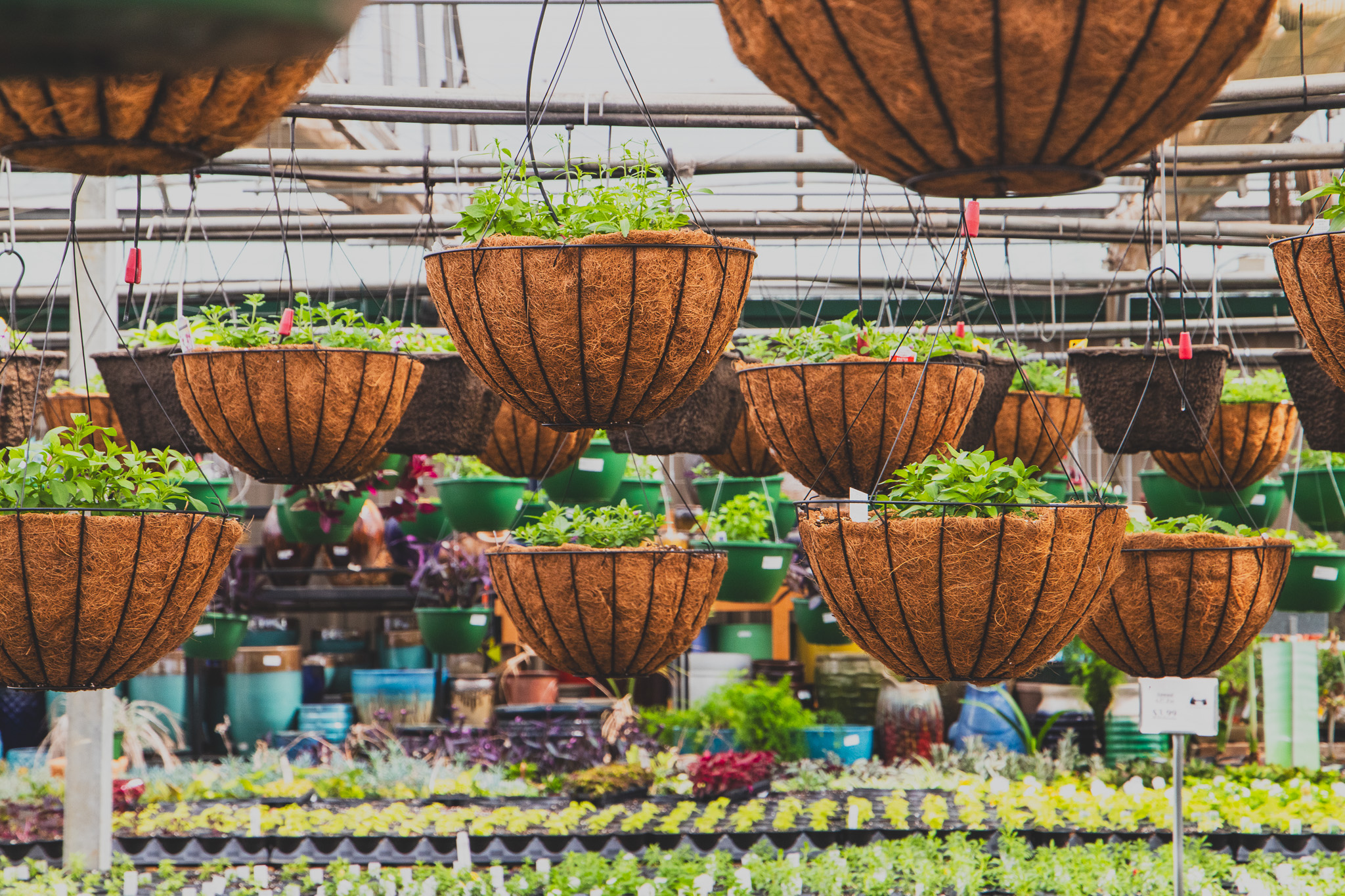 Time to start planning your garden in the south