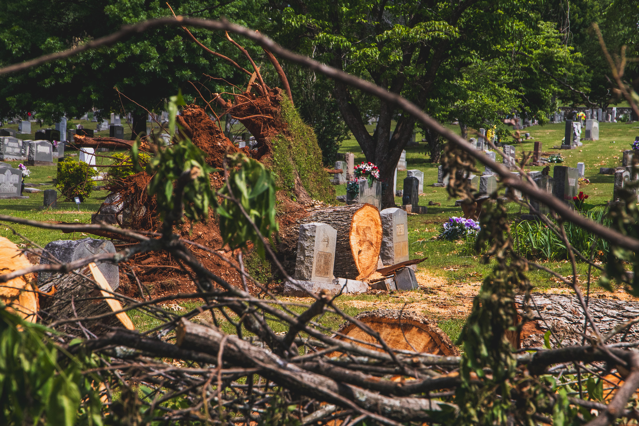Maple Hill Cemetery is now open but still damaged, here’s how you can help