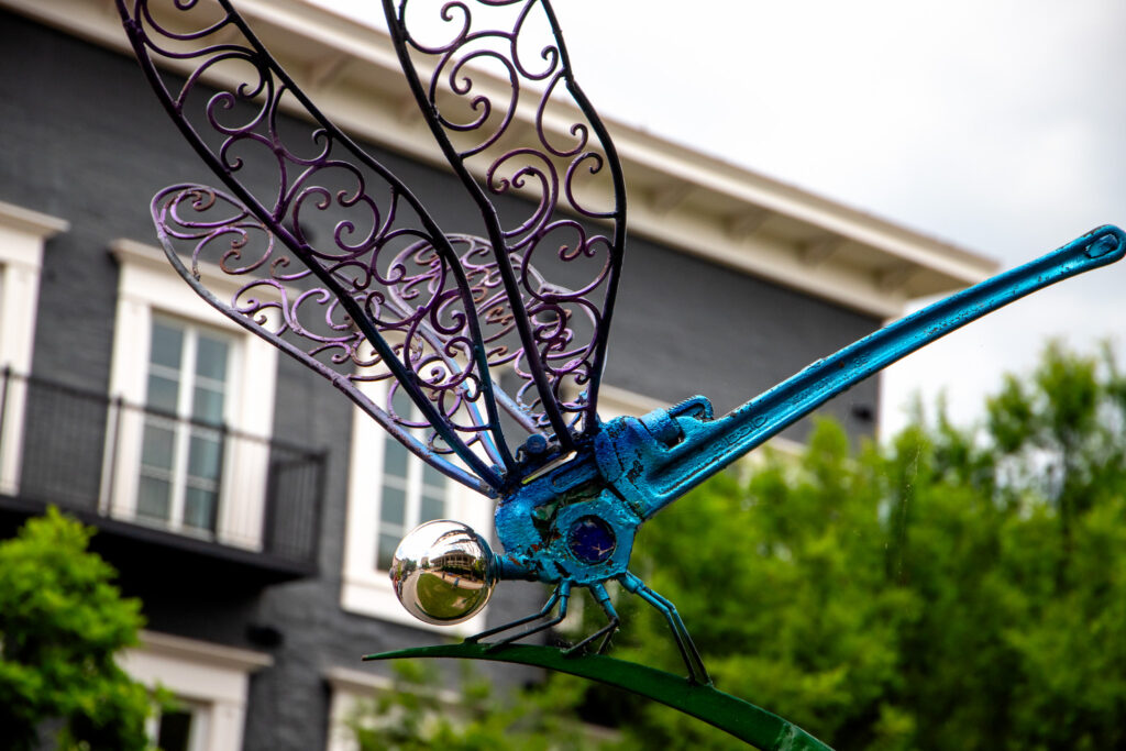 Check out these 8 new openings in the Huntsville area Check out these 8 new openings in the Huntsville area