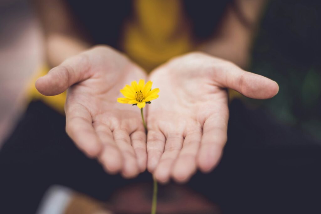 3 more volunteer opportunities in the Huntsville area