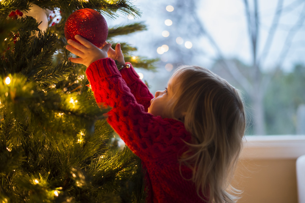 Here’s what you can do with your old Christmas tree