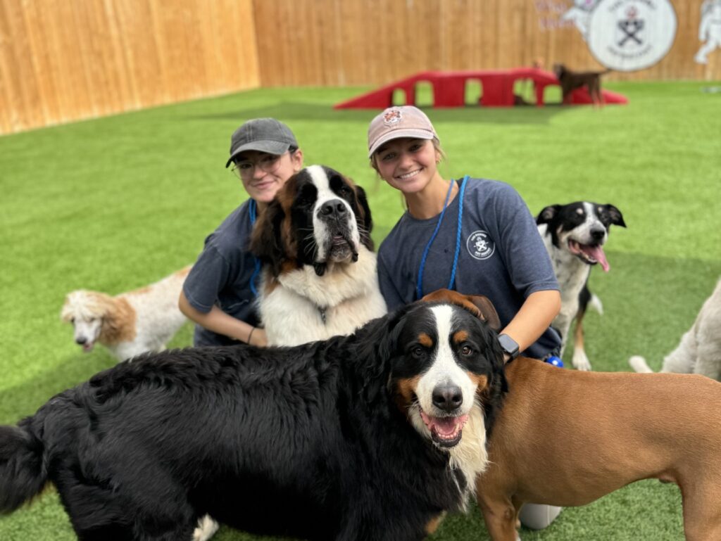 Hear from Huntsville dog parents on why they love this pet resort