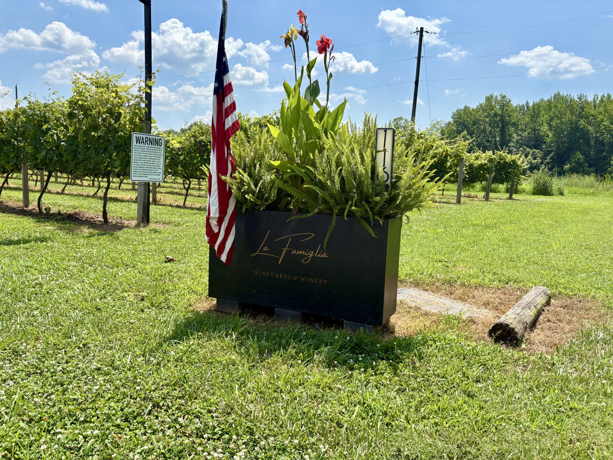 A taste of Italy comes to North Alabama—a new vineyard is open