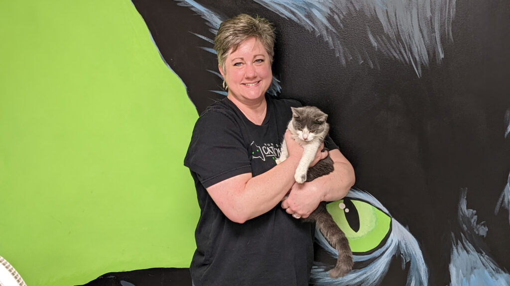 Find your new 4-legged family member at one of these Huntsville-area shelters