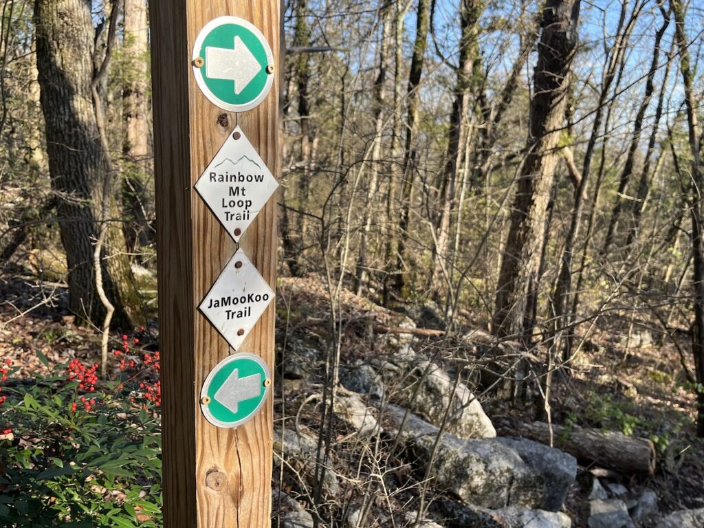 It’s never too cold for some amazing winter hikes in North Alabama