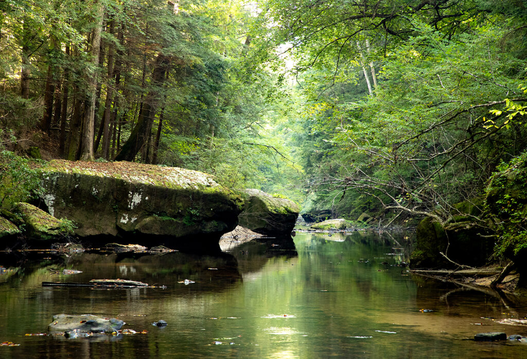 Conserving Alabama’s beauty + why it matters