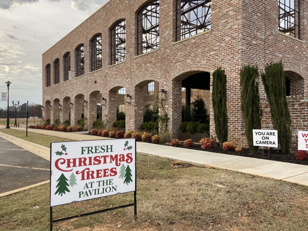 Where to find live Christmas trees in North Alabama