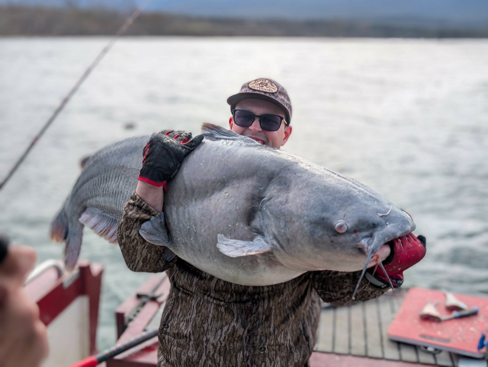 Man catches enormous 80+ lb. catfish in Lake Guntersville