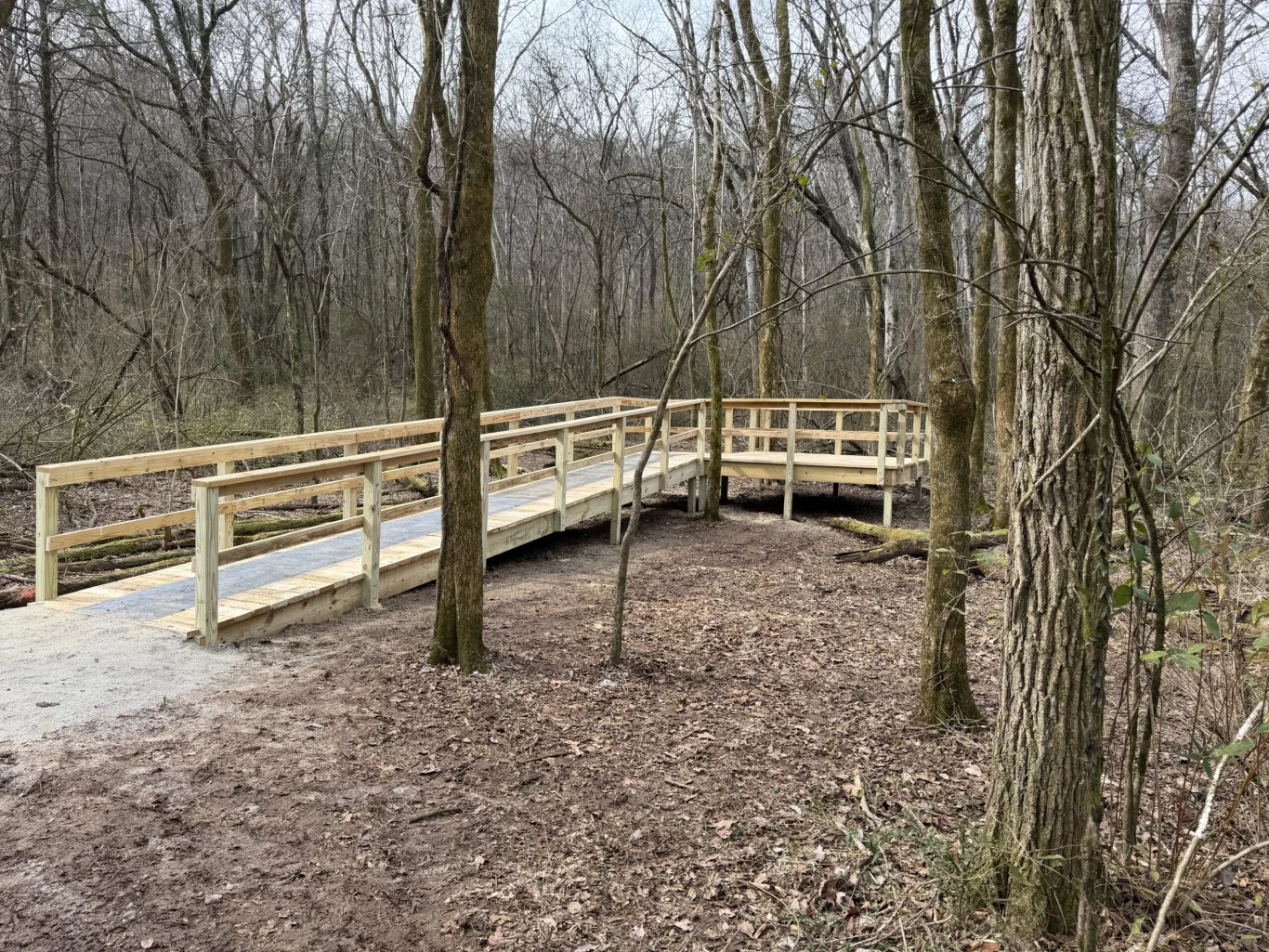 New birding platform opens at Chapman Mountain Nature Preserve