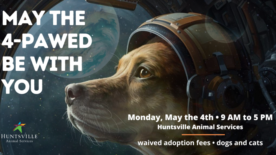 Huntsville Animal Services offering free cat + dog adoption on May 4