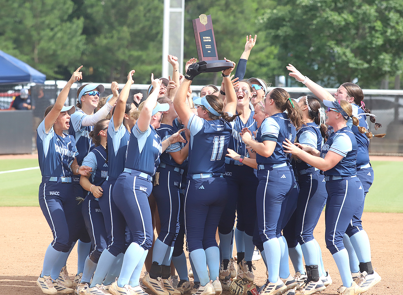 Sports Softball Champions
