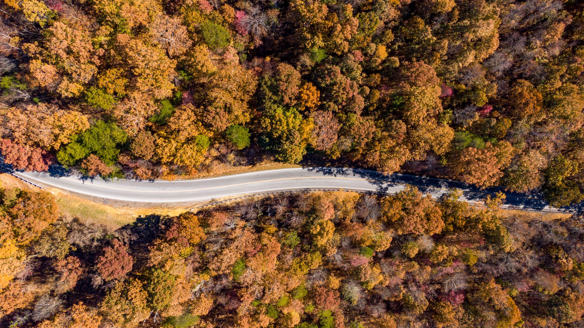 Aerial Photography Of Empty Road Surrounded By Trees