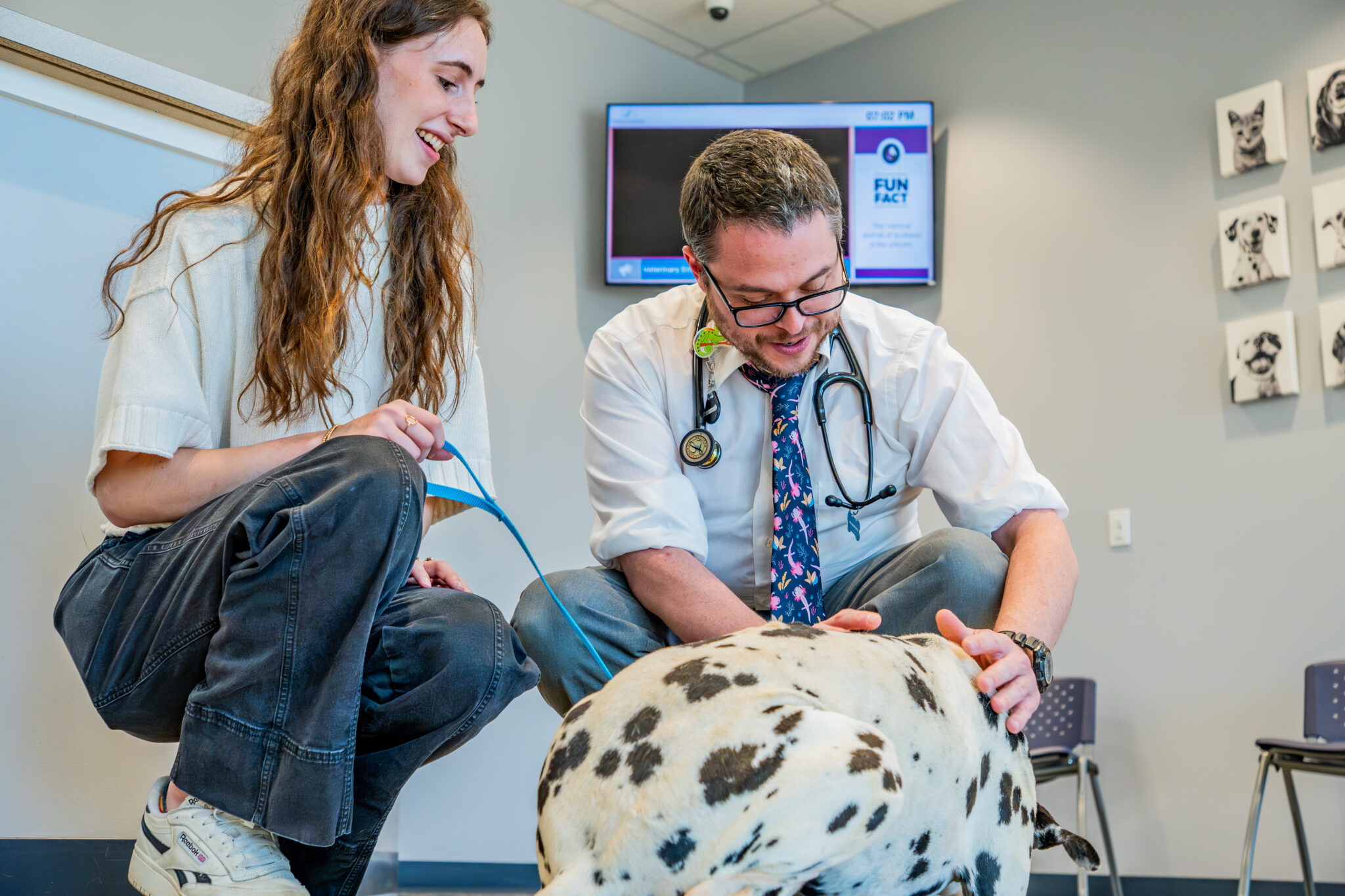 New to Huntsville? Here’s a newcomers guide to local veterinarians New to Huntsville? Here’s a newcomers guide to local veterinarians