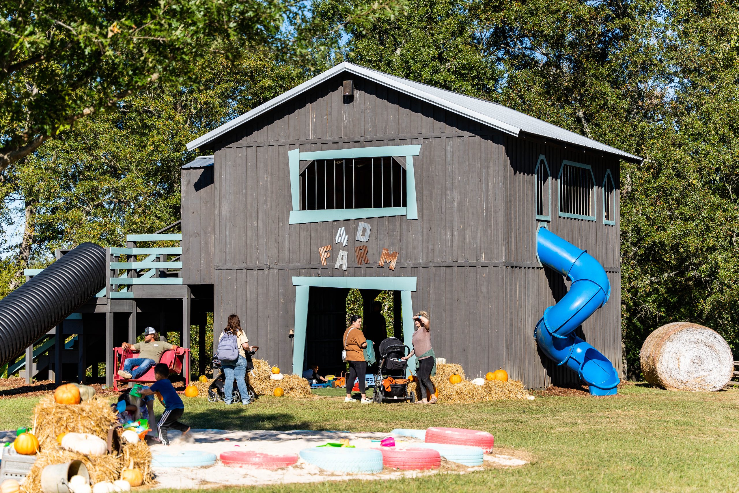 5 fun pumpkin patches to check out around Huntsville