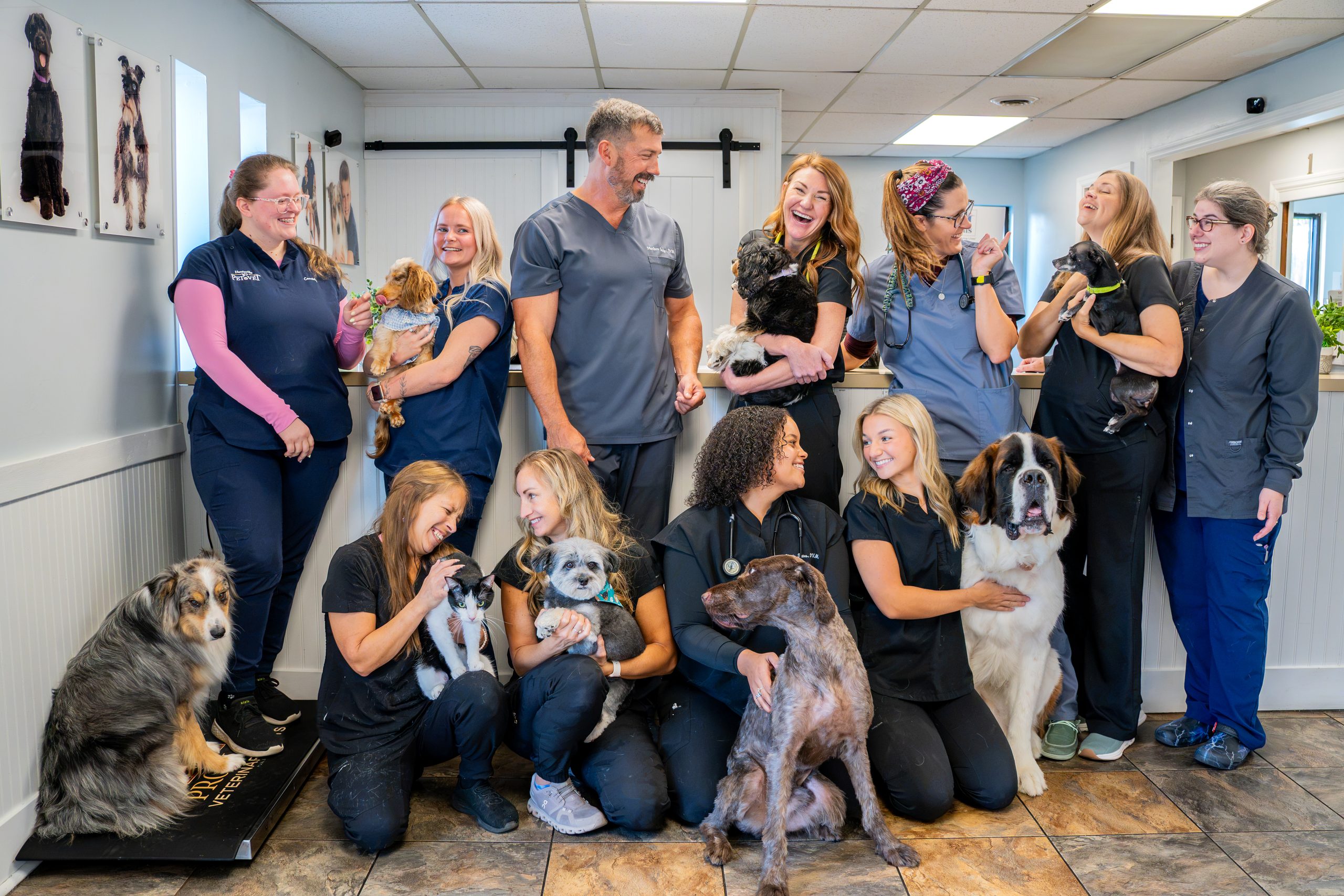 This lively Huntsville vet feels like family—save 50% on your first visit now This lively Huntsville vet feels like family—save 50% on your first visit now